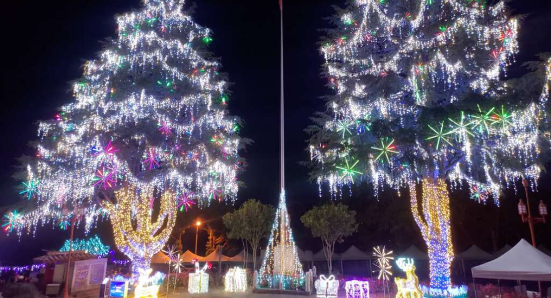 山谷燈光節聖誕樹