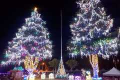 山谷燈光節聖誕樹