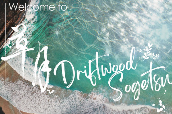 台日草月流漂流木藝術創作