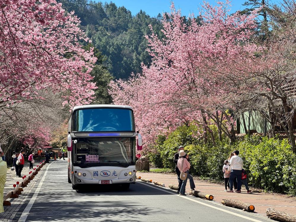 taichung-go套票-武陵花季交通聯票-提供48小時公車套票-接駁車-住宿優惠-歡迎民眾.jpg