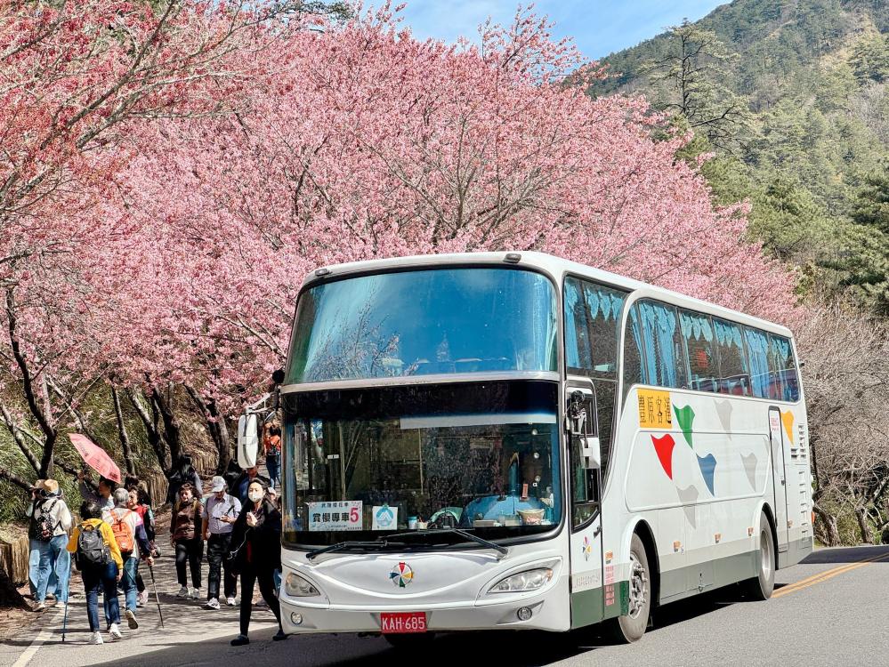 武陵櫻花季賞櫻專車服務獲好評.jpg