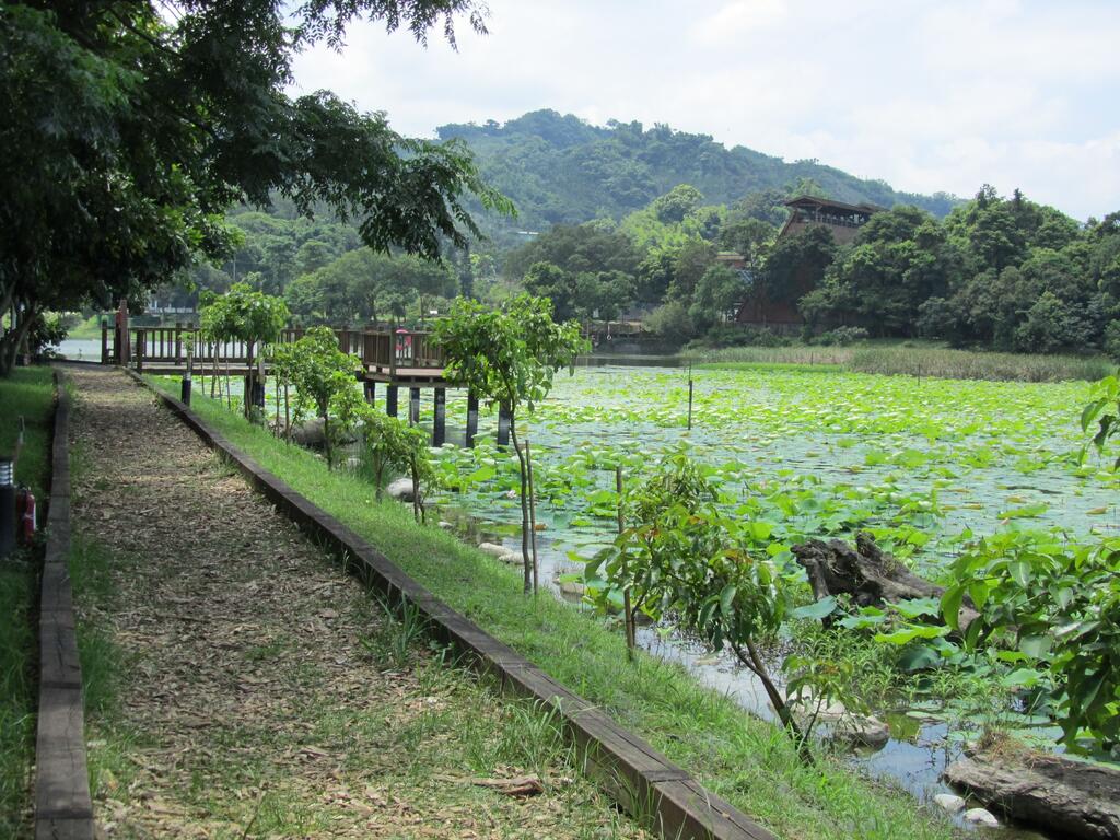 東勢林業文化園區-生態貯木池步道